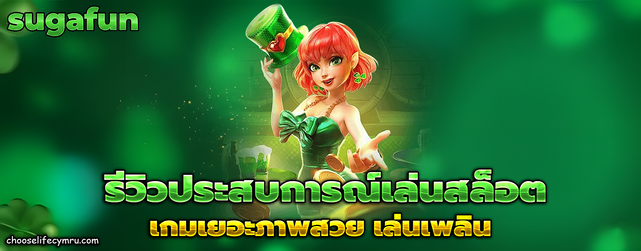 sugafun ทางเข้า